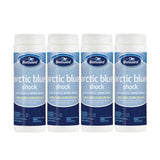 BioGuard Arctic Blue Shock (2 lb)